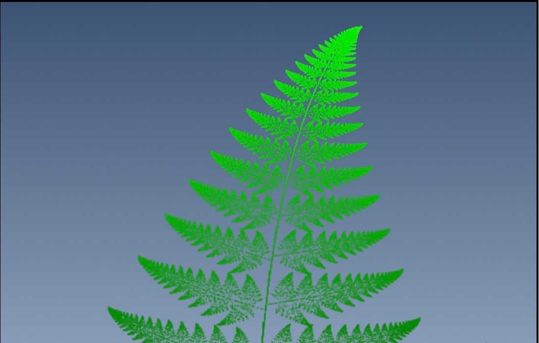 Various Fractal Ferns