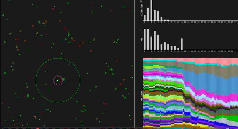 Evolutionary Steering Behaviour in Processing, with Statistic Charts